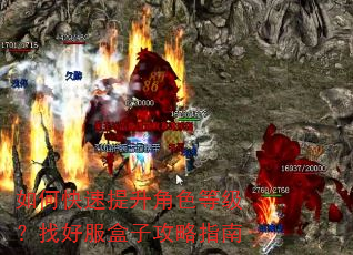 如何快速提升角色等级?找好服盒子攻略指南 如何快速提升角色等级?找好服盒子攻略指南