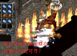 ���Ŵ�������֩���ڴ����кδ���Ѱ��