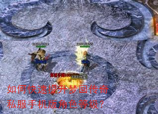 如何快速提升梦回传奇私服手机版角色等级? 如何快速提升梦回传奇私服手机版角色等级?