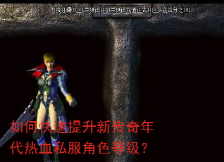 如何快速提升新传奇年代热血私服角色等级? 如何快速提升新传奇年代热血私服角色等级?