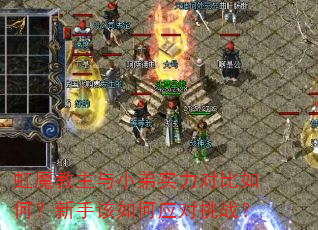 虹魔教主与小弟实力对比如何?新手该如何应对挑战? 虹魔教主与小弟实力对比如何?新手该如何应对挑战?