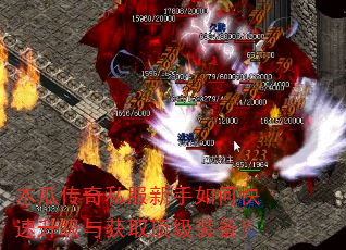 木瓜传奇私服新手如何快速升级与获取顶级装备? 木瓜传奇私服新手如何快速升级与获取顶级装备?