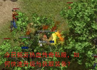 今日新开热血传奇私服,如何快速升级与获取装备? 今日新开热血传奇私服,如何快速升级与获取装备?