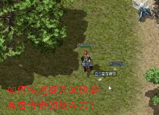 如何快速提升80风暴合击传奇的战斗力? 如何快速提升80风暴合击传奇的战斗力?