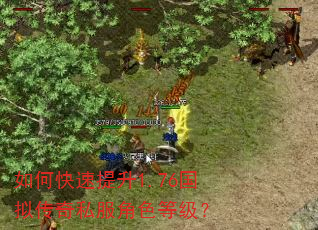 如何快速提升1.76国拟传奇私服角色等级? 如何快速提升1.76国拟传奇私服角色等级?