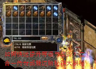 如何快速提升等级与装备?二合一传奇新服进阶秘籍大揭秘 如何快速提升等级与装备?二合一传奇新服进阶秘籍大揭秘