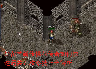 楚留香新传桃花传奇如何快速通关?攻略技巧全解析 楚留香新传桃花传奇如何快速通关?攻略技巧全解析