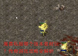 魔兽私服哪个版本最耐玩?传奇游戏攻略全解析 魔兽私服哪个版本最耐玩?传奇游戏攻略全解析