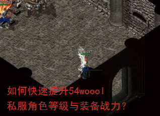 如何快速提升54woool私服角色等级与装备战力? 如何快速提升54woool私服角色等级与装备战力?