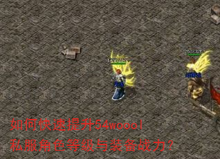 如何快速提升54woool私服角色等级与装备战力? 如何快速提升54woool私服角色等级与装备战力?