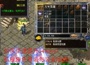 如何快速提升54woool私服角色等级与装备战力? 如何快速提升54woool私服角色等级与装备战力?