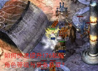 如何快速提升176私服角色等级与装备获取? 如何快速提升176私服角色等级与装备获取?