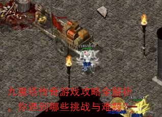 九魔塔传奇游戏攻略全解析,你遇到哪些挑战与难题? 九魔塔传奇游戏攻略全解析,你遇到哪些挑战与难题?