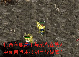 传奇私服高手与菜鸟在战斗中如何运用技能差异显著? 传奇私服高手与菜鸟在战斗中如何运用技能差异显著?