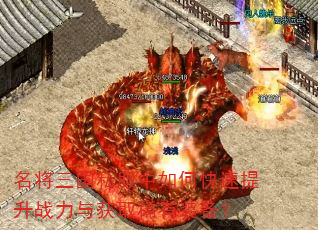 名将三国私服中如何快速提升战力与获取稀有装备? 名将三国私服中如何快速提升战力与获取稀有装备?