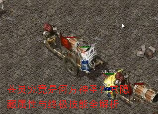 苍灵究竟是何方神圣?其隐藏属性与终极技能全解析 苍灵究竟是何方神圣?其隐藏属性与终极技能全解析