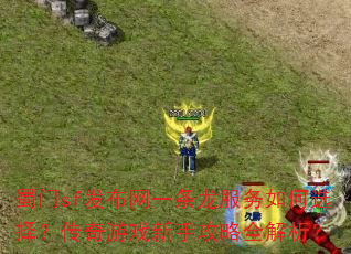 蜀门sf发布网一条龙服务如何选择?传奇游戏新手攻略全解析? 蜀门sf发布网一条龙服务如何选择?传奇游戏新手攻略全解析?