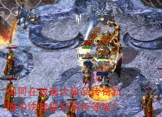 如何在玫瑰大极品传奇私服中快速提升角色等级? 如何在玫瑰大极品传奇私服中快速提升角色等级?