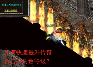 如何快速提升传奇合击服角色等级? 如何快速提升传奇合击服角色等级?