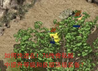 如何快速在1.76传奇私服中提升等级和获取顶级装备? 如何快速在1.76传奇私服中提升等级和获取顶级装备?