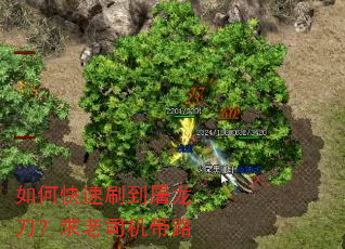 如何快速刷到屠龙刀?求老司机带路 如何快速刷到屠龙刀?求老司机带路