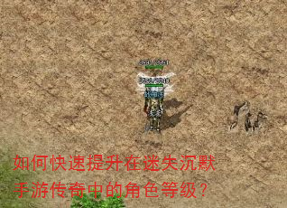 如何快速提升在迷失沉默手游传奇中的角色等级? 如何快速提升在迷失沉默手游传奇中的角色等级?