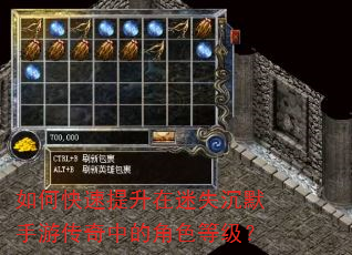 如何快速提升在迷失沉默手游传奇中的角色等级? 如何快速提升在迷失沉默手游传奇中的角色等级?