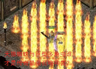 天狼蜘蛛与巨型多角虫谁才是传奇最强召唤神兽? 天狼蜘蛛与巨型多角虫谁才是传奇最强召唤神兽?
