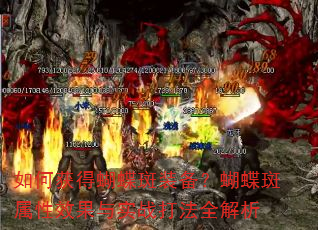 如何获得蝴蝶斑装备?蝴蝶斑属性效果与实战打法全解析 如何获得蝴蝶斑装备?蝴蝶斑属性效果与实战打法全解析