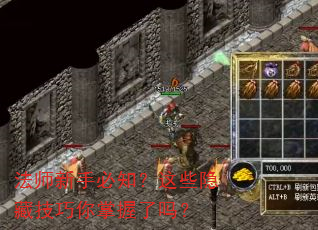 法师新手必知?这些隐藏技巧你掌握了吗? 法师新手必知?这些隐藏技巧你掌握了吗?