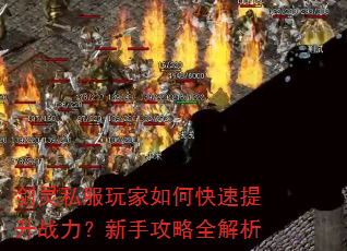 剑灵私服玩家如何快速提升战力?新手攻略全解析 剑灵私服玩家如何快速提升战力?新手攻略全解析