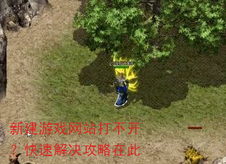 新建游戏网站打不开?快速解决攻略在此 新建游戏网站打不开?快速解决攻略在此
