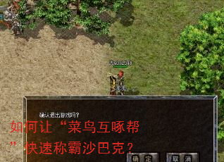 如何让“菜鸟互啄帮”快速称霸沙巴克? 如何让“菜鸟互啄帮”快速称霸沙巴克?