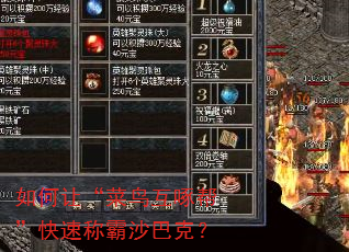 如何让“菜鸟互啄帮”快速称霸沙巴克? 如何让“菜鸟互啄帮”快速称霸沙巴克?