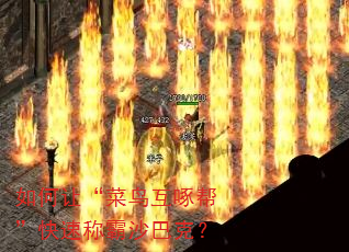 如何让“菜鸟互啄帮”快速称霸沙巴克? 如何让“菜鸟互啄帮”快速称霸沙巴克?