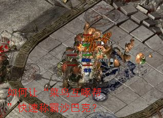 如何让“菜鸟互啄帮”快速称霸沙巴克? 如何让“菜鸟互啄帮”快速称霸沙巴克?
