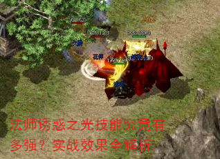 ��ʦ�ջ�֮�⼼�ܾ����ж�ǿ��ʵսЧ��ȫ����