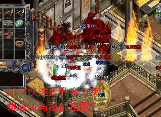 如何快速提升合击英雄等级与技能搭配? 如何快速提升合击英雄等级与技能搭配?