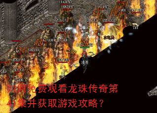 如何免费观看龙珠传奇第41集并获取游戏攻略? 如何免费观看龙珠传奇第41集并获取游戏攻略?